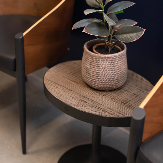 Planta en maceta sobre mesa de madera, silla moderna cerca.