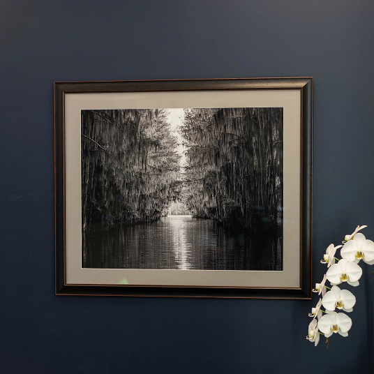 Fotografía enmarcada en blanco y negro de un pantano con orquídeas
