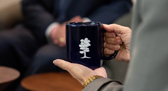 Persona sosteniendo una taza azul marino con logotipo de árbol blanco